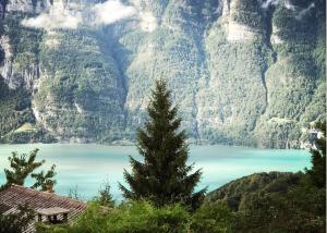 Chalet im Gus - Flumserberge & Walensee