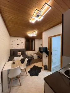 Magnifique Studio de 20m2 pour 1 à 4 personnes - Prémanon
