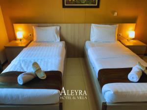 Aleyra Hotel and Villas Garut