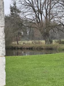 La Grange DEsusTerra - Piscine - 6 pers - Rêve au Mans