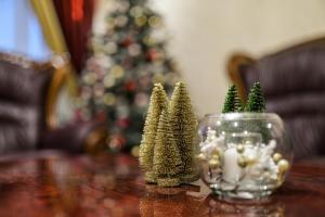 Très belle Apparemment 80 m2 Double Séjour à Strasbourg proche Zénith Gare Centrale Centre Ville CHU Hôpital