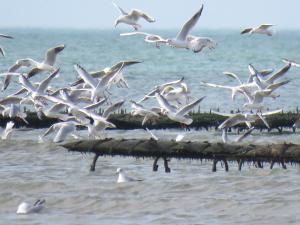 Maison calme proche mer