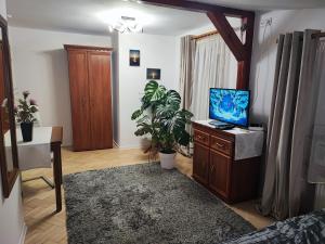 Dom wczasowy - Ferienwohnung