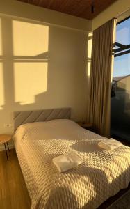 Maironio apartamentai Laisvė