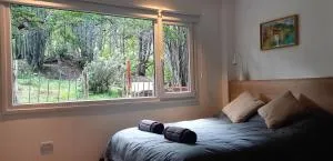 Del bosque - Timaukel