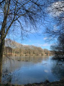Appartements Tranquil Watermill : photos des chambres