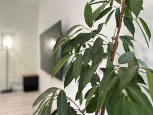 Maisons de vacances MAISON DES OSIERS-JUSQU-A 6 PERSONNES-WIFi : photos des chambres