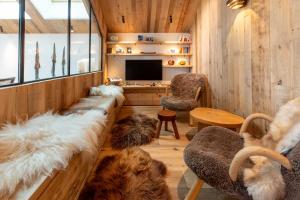 Antarès URSA 501 - Amazing duplex penthouse ski inout in Méribel