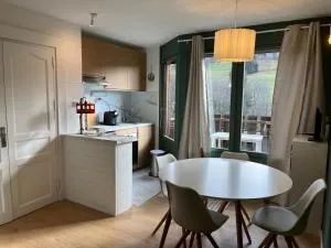 Mignon petit Studio 25m2 avec balcon et Parking face départ pistes ! - Demi-Quartier