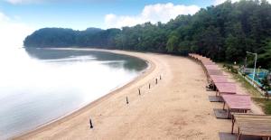 Jincheon Daol Camp Site