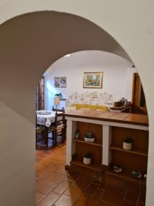 Lilly & il Vagabondo