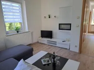 Ferienwohnung Carolagrün - Auerbach