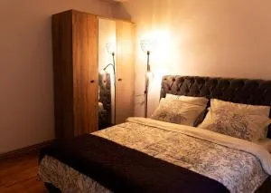 Central Vibe Apartment - 米特罗维察