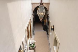 Orchid House Coyoacán