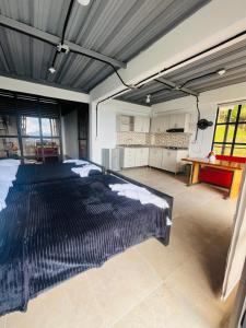 Curazao Natural Living