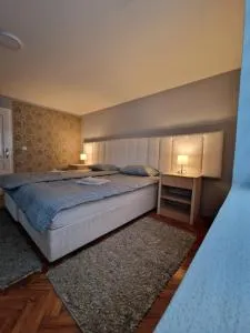 Apartman VRANJANKA - Vladičin Han