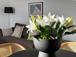 XPCE Urban 8 Skyline - Parking Free