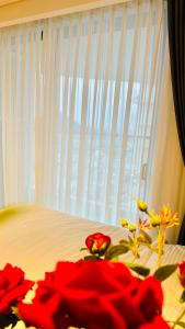 Apec Mandala Luxury Phú Yên