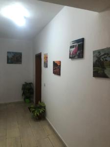 Center in Center apartament Tirana