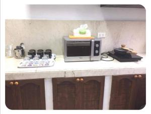 big and beautiful house