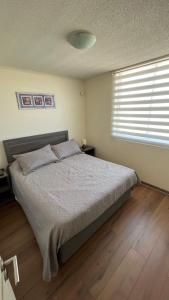 Impecable departamento a pasos de la playa, La Serena