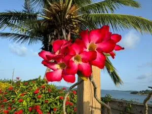 Villa Pointe La Rose - Hyacinthe