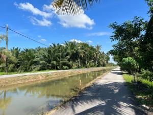 Rimbunan Padi Roomstay