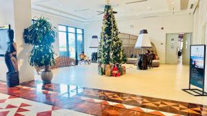 Apec Mandala Phú Yên View Biển