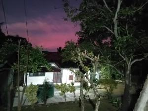 Dianas place
