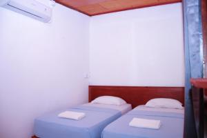 Arthur Homestay Telescope Mentawai