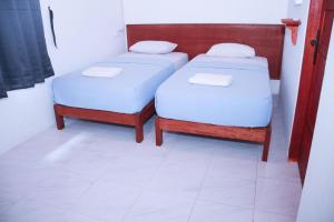 Arthur Homestay Telescope Mentawai