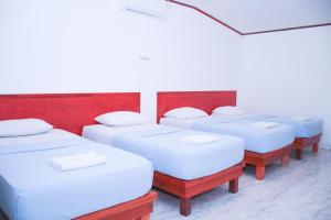 Arthur Homestay Telescope Mentawai