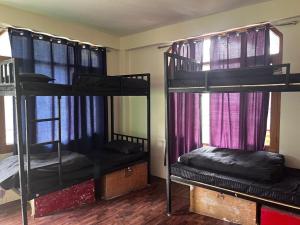 Nomadic Den Manali