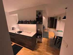 Penthouse city center