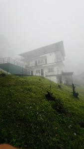 Misty Cloud
