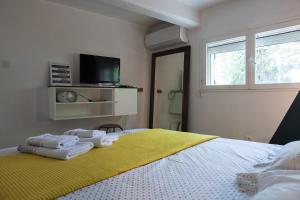 Sejours chez l'habitant La Villa Plaisance - maison et Chambres d hotes a proximite de Chateaneuf-du-Pape : photos des chambres