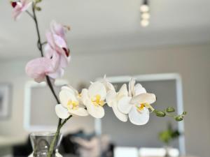 Obs Centre Luxe Loft