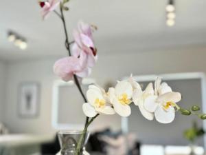 Obs Centre Luxe Loft