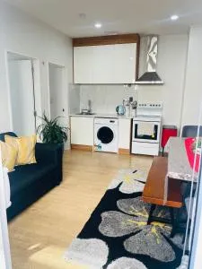 Flat bush holiday apartment - 曼努考市