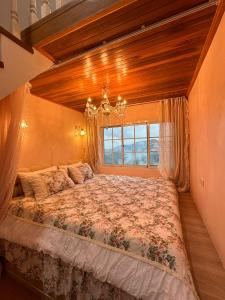 Phop Kham ภพค่ำ