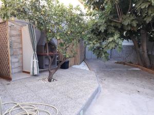 Casa Vacanze Alta Marea T img16