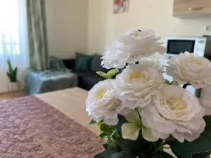 Fanni Villa Tiszakécske - 蒂萨凯奇凯