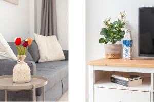 Contemporary One-Bedroom Apartment