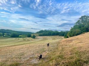 Maisons de vacances Gite Bimienthus te Beaumont en Perigord Dordogne : photos des chambres