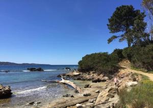 Appartements Saint-Florent, Sublime Vue Mer plage 5mn a pied : photos des chambres