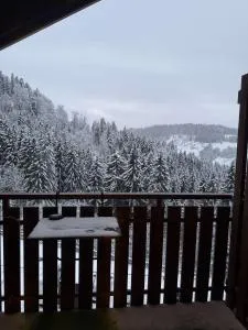 Votre havre de paix avec vue sur la forêt - Villard-sur-Boëge
