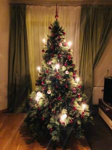 Kungu 25 OldTown & Free parking