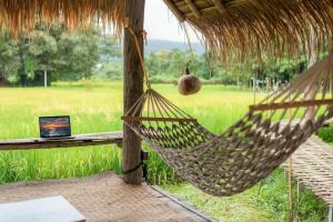 Camp View Mountain - Sell Experience By Paddy Fields Haven - Natures Nest