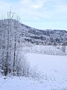 Apartamenty Chilldziówka w Miłkowie z sauną i z grillem Karpacz