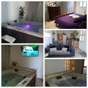 Appartements LA TUILIERE : Detente Cocooning spa : photos des chambres